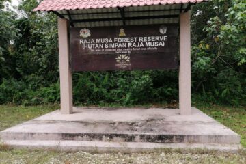 Selangor’s Peatland Gem Named ASEAN Peatland Reference Site