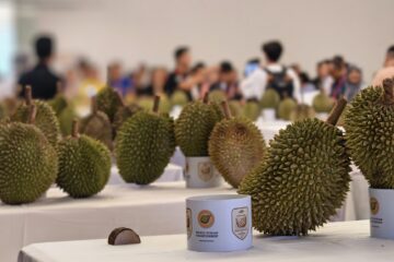 Bangi Farm Resort Durian Festival Secures ASEAN Record as First Regional-Level Competition Since 2018