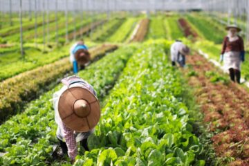 ASEAN Accelerates Green Growth Push as Sustainable Economy Could Generate US Trillion Annually by 2030